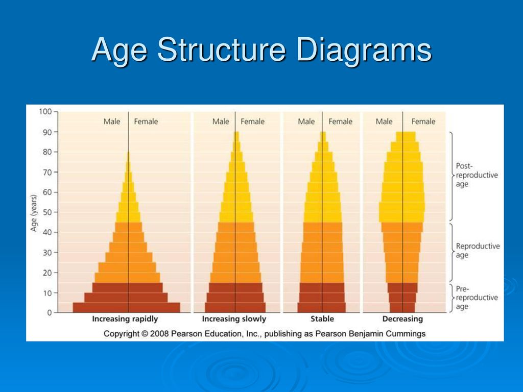 Age Structure Diagram For Developing Countries Structure Dia